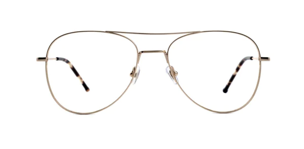 Oprawa okularowa GIGI Studios 8047/5 LAB DEHLI