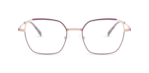 Oprawa okularowa MOREL NOMAD 40140N PP09