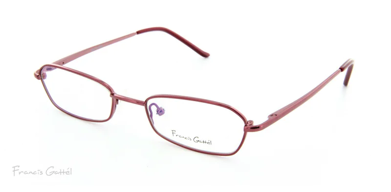 Oprawa okularowa Francis Gattel 534C3