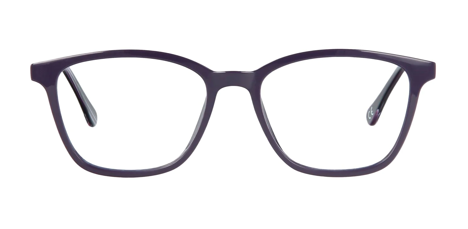 Oprawa okularowa Francis...