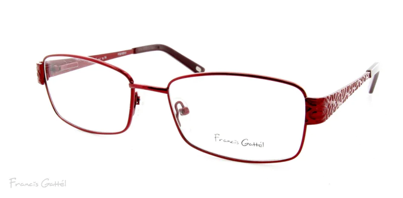 Oprawa okularowa Francis Gattel 5197C1