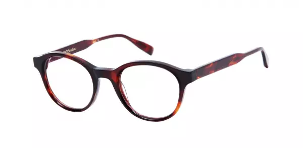 Oprawa okularowa GIGI Studios 6809/6 CALGARY