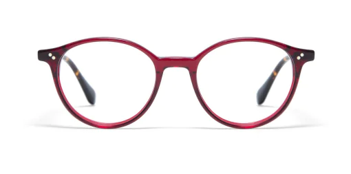 Oprawa okularowa GIGI Studios 64900/12 BROOKS