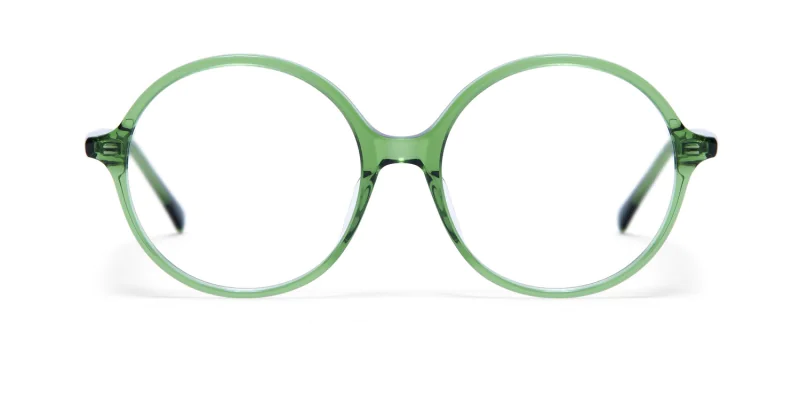 Oprawa okularowa GIGI Studios 8113/7 EREA