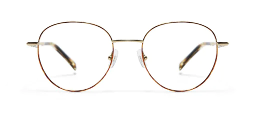 Oprawa okularowa GIGI Studios 8131/2 FAITH