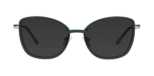 Nakładka przeciwsłoneczna CLIP-ON 48382C2