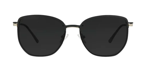 Nakładka przeciwsłoneczna CLIP-ON 48387C3