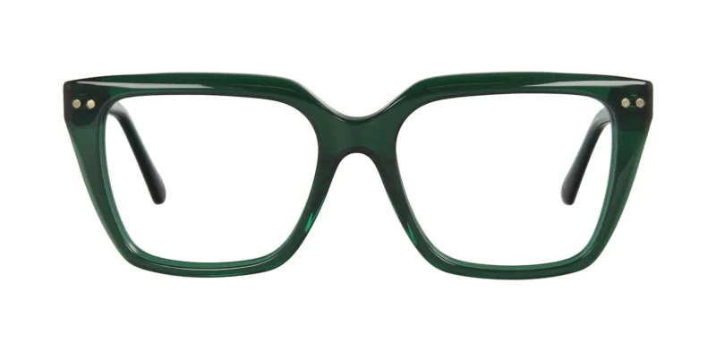 Oprawa okularowa TONNY 44019C3-CL