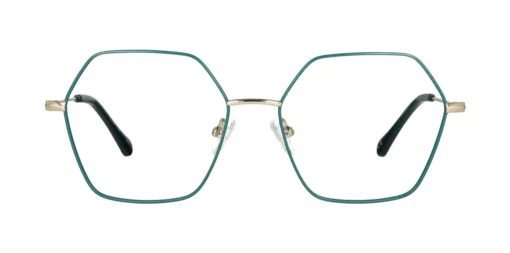 Oprawa okularowa TONNY 44046C4