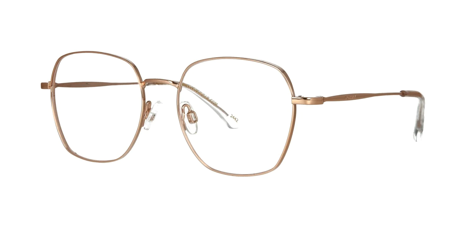 Oprawa okularowa TONNY Titanium 254C3