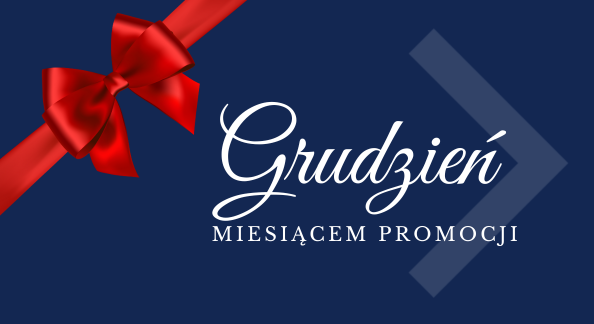Grudzień miesiącem promocji!